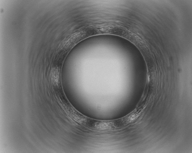 X0000059040129200510171858