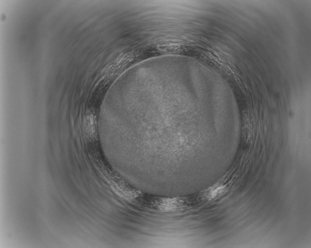 X0000059040130200510171858