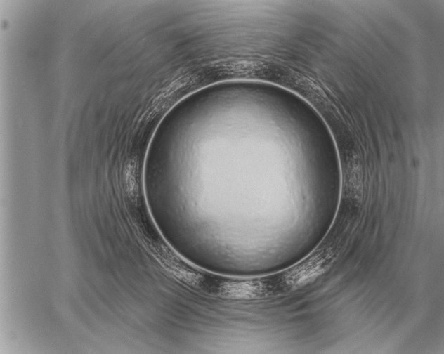 X0000059040131200510171858