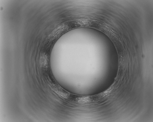 X0000059040132200510171858