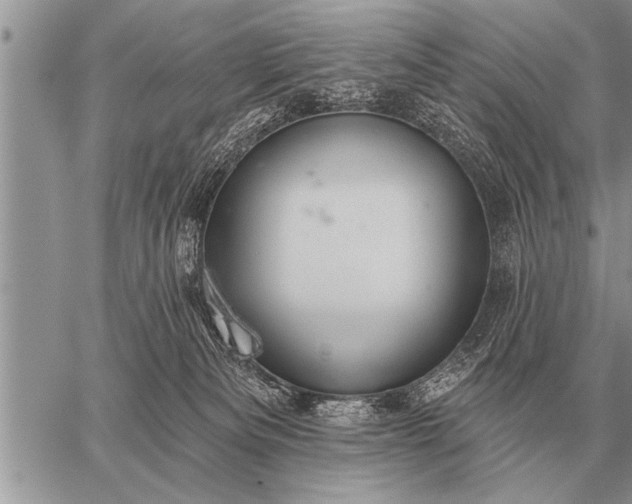 X0000059040133200510171858