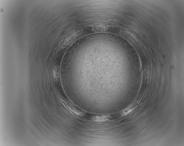 X0000059040134200510171858