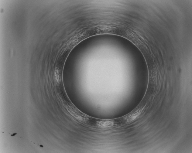 X0000059040135200510171858