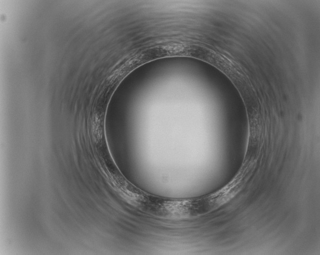 X0000059040136200510171858