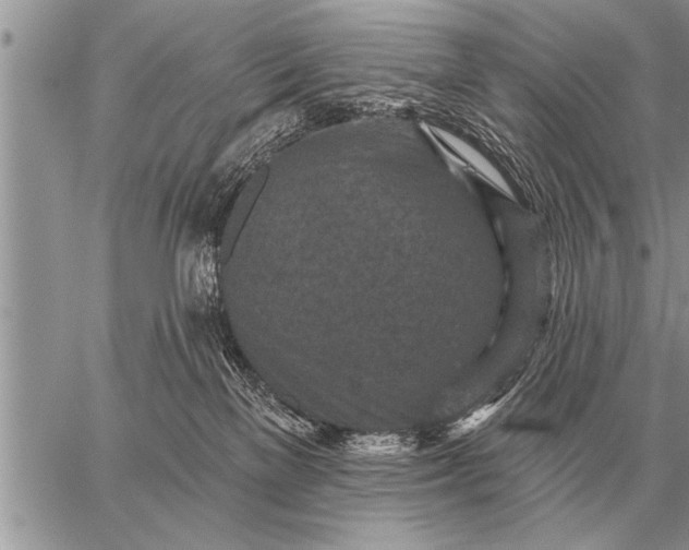 X0000059040137200510171858