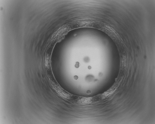 X0000059040138200510171858