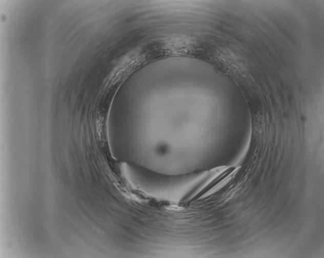 X0000059040139200510171858