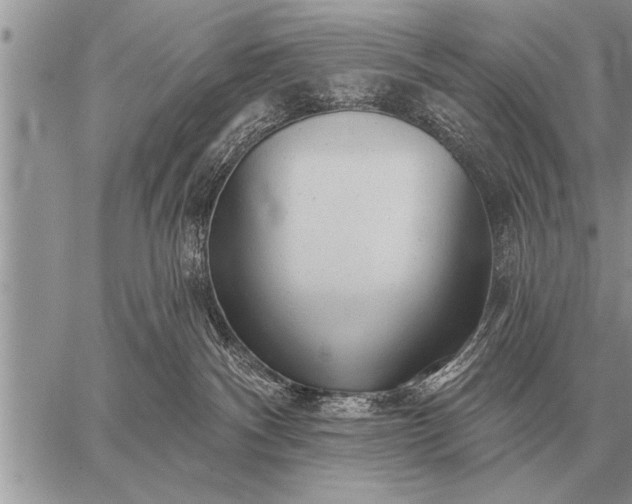 X0000059040140200510171858