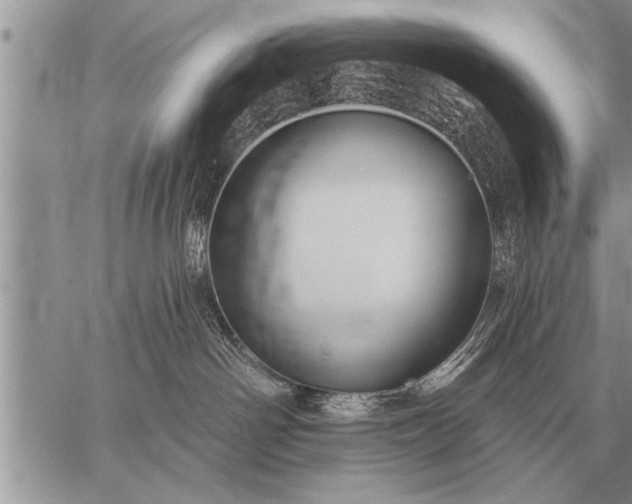 X0000059040142200510171858