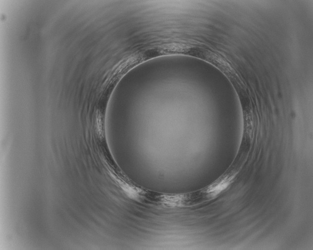 X0000059040143200510171858