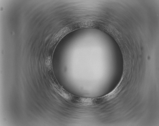 X0000059040144200510171858