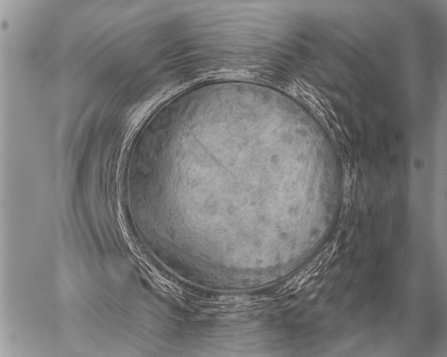 X0000059040145200510171857