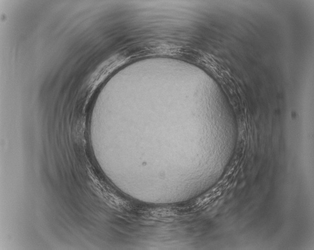 X0000059040146200510171857