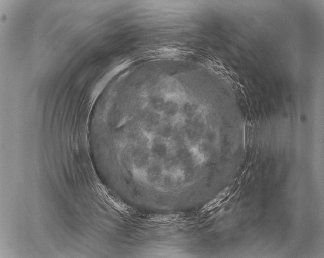 X0000059040147200510171857