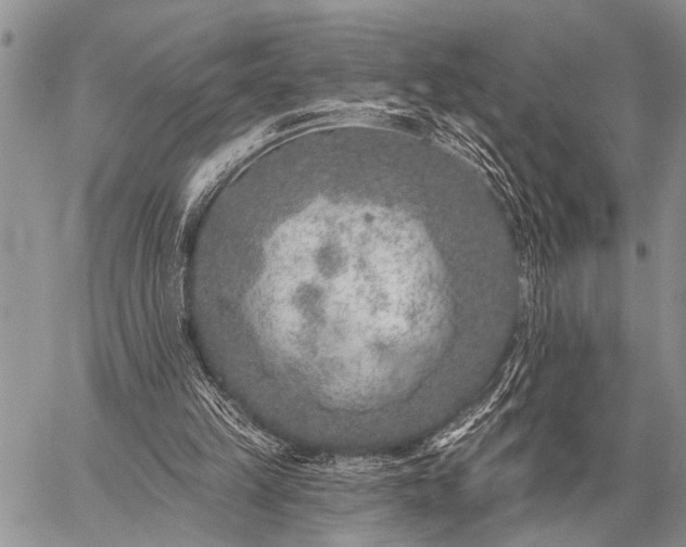 X0000059040149200510171857