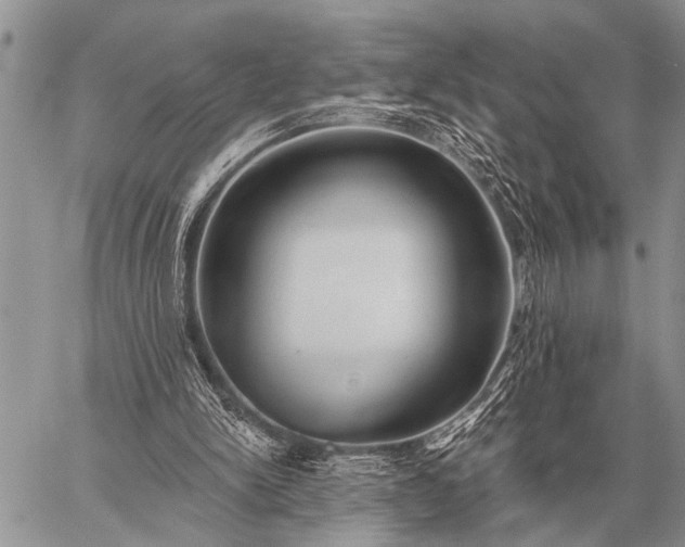 X0000059040150200510171857