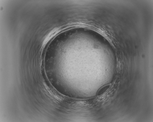 X0000059040151200510171857