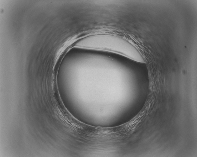 X0000059040152200510171857