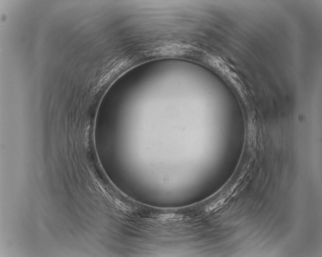 X0000059040153200510171857