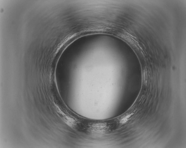 X0000059040156200510171857