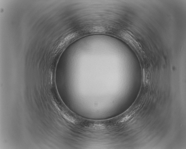 X0000059040157200510171857