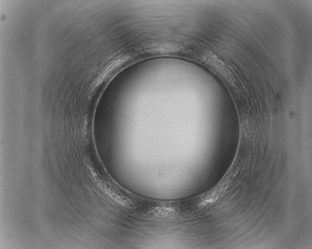 X0000059040159200510171857