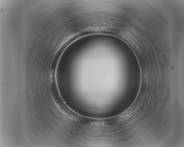 X0000059040160200510171857