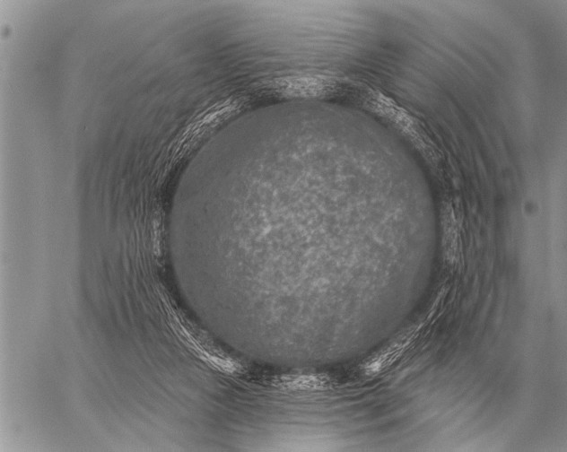 X0000059040161200510171857