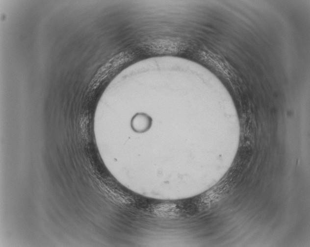 X0000059040162200510171857