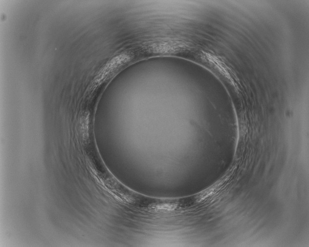 X0000059040163200510171857