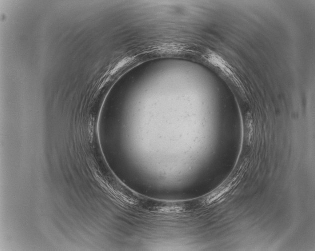 X0000059040168200510171857