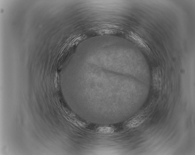 X0000059040169200510171857