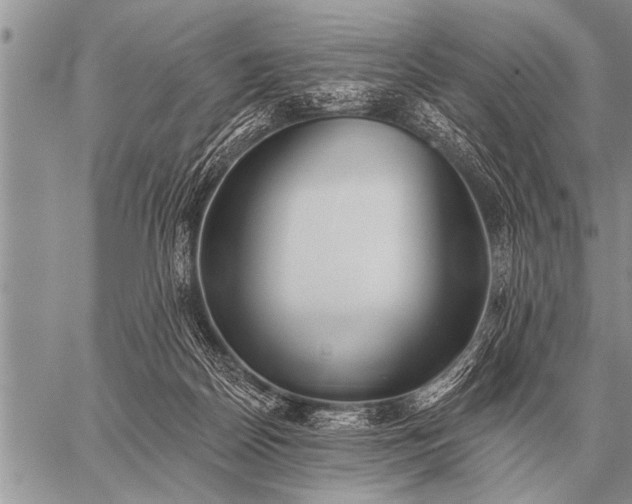 X0000059040170200510171857