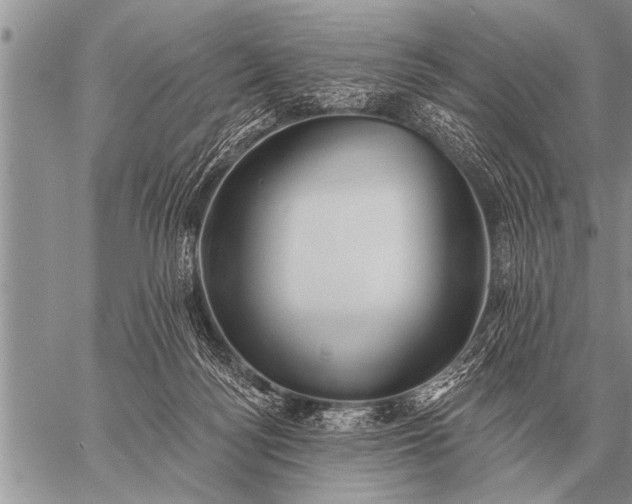 X0000059040172200510171857