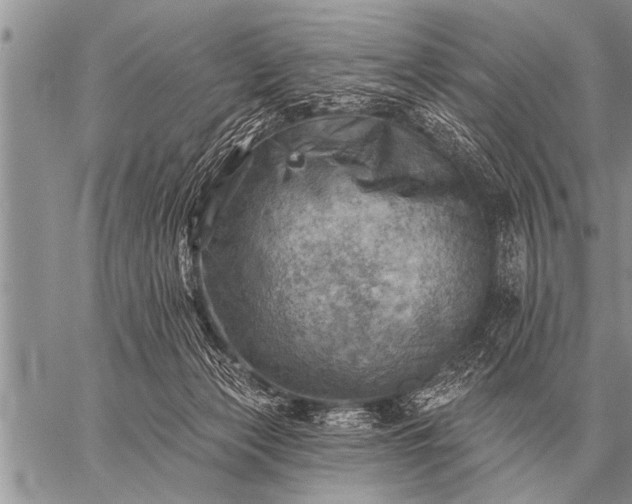 X0000059040173200510171857