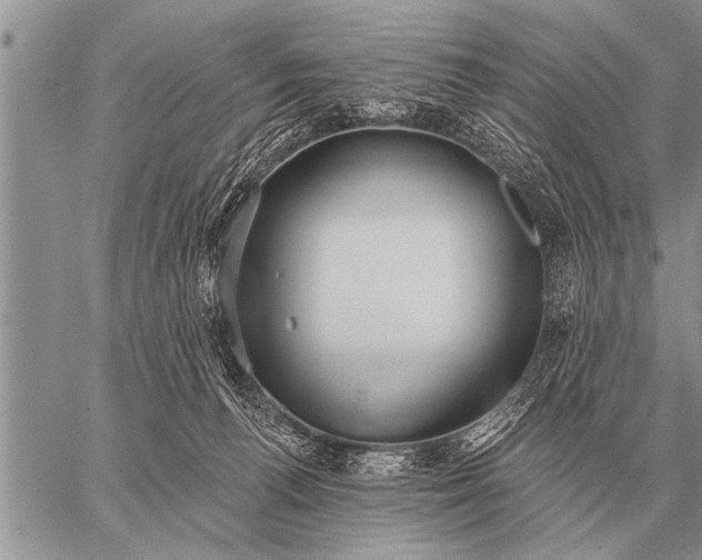 X0000059040176200510171857