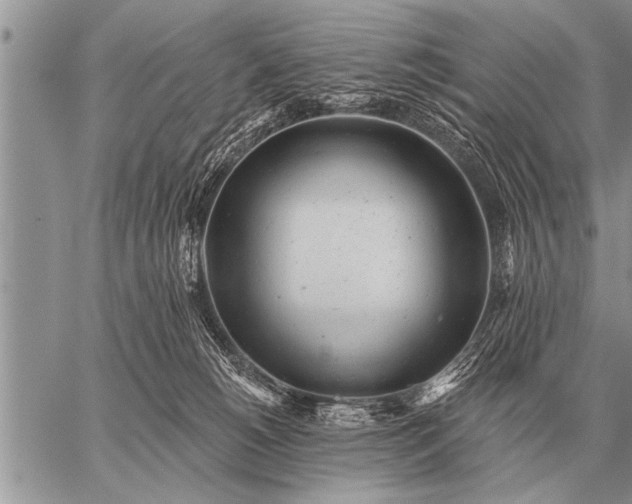 X0000059040180200510171857