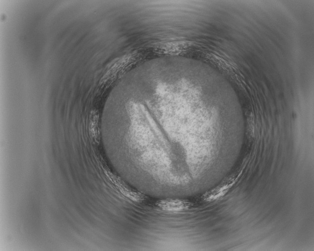 X0000059040181200510171857