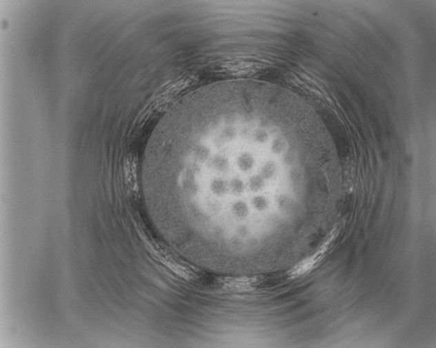 X0000059040182200510171857