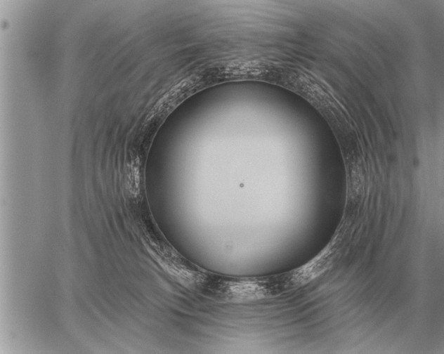 X0000059040183200510171857