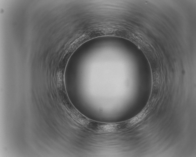 X0000059040184200510171857