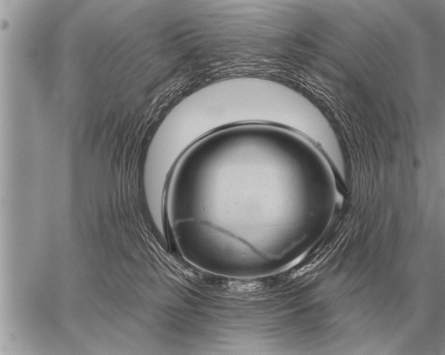 X0000059040185200510171857