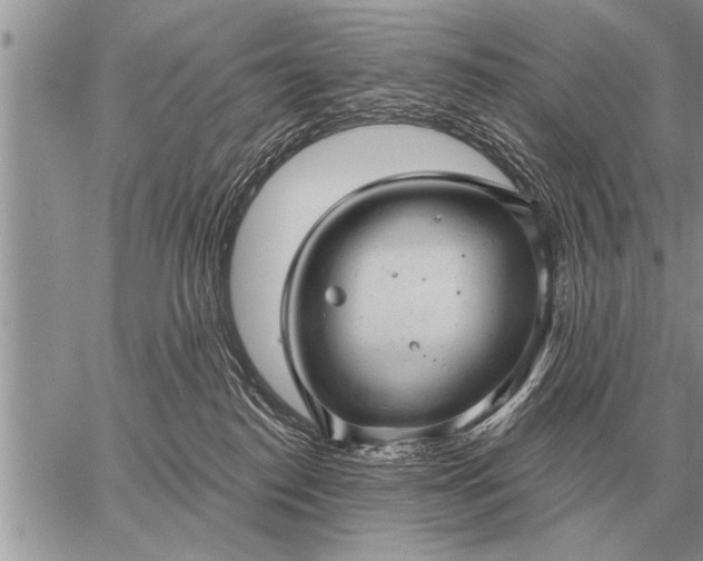 X0000059040186200510171858