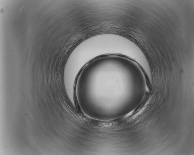 X0000059040187200510171858