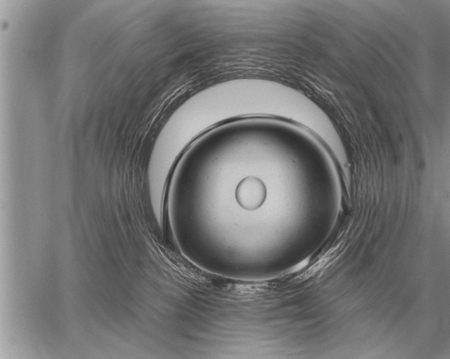 X0000059040188200510171858