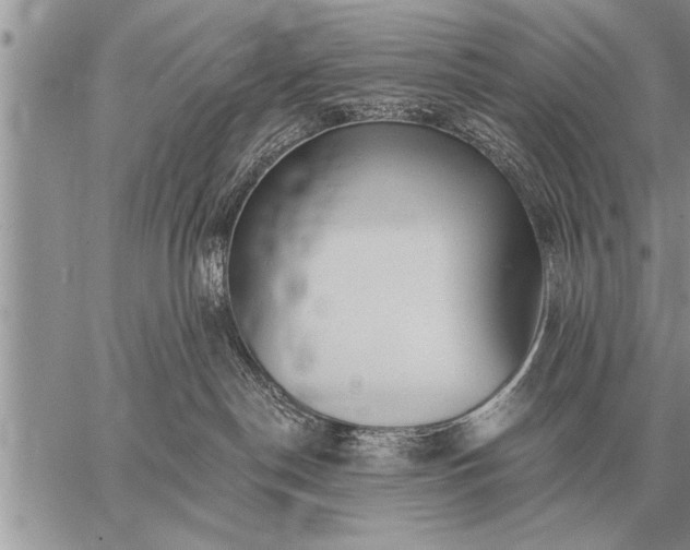 X0000059040190200510171858