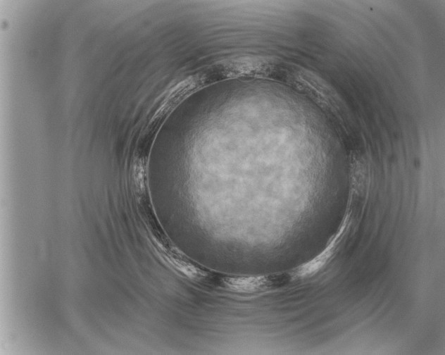 X0000059040191200510171858