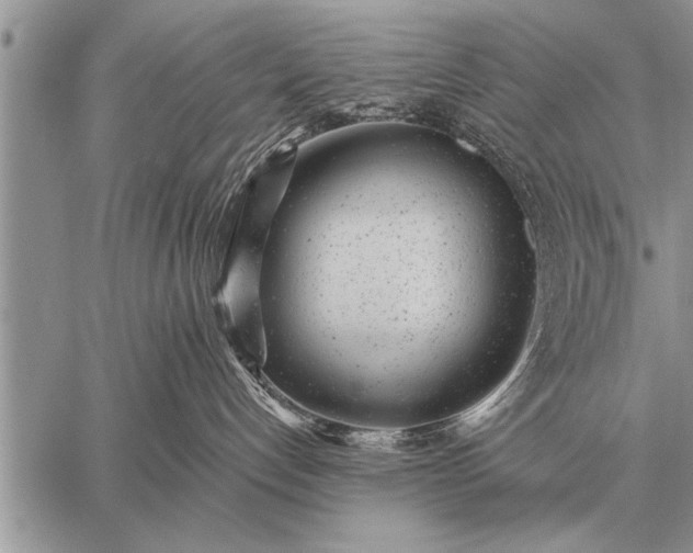 X0000059040192200510171858