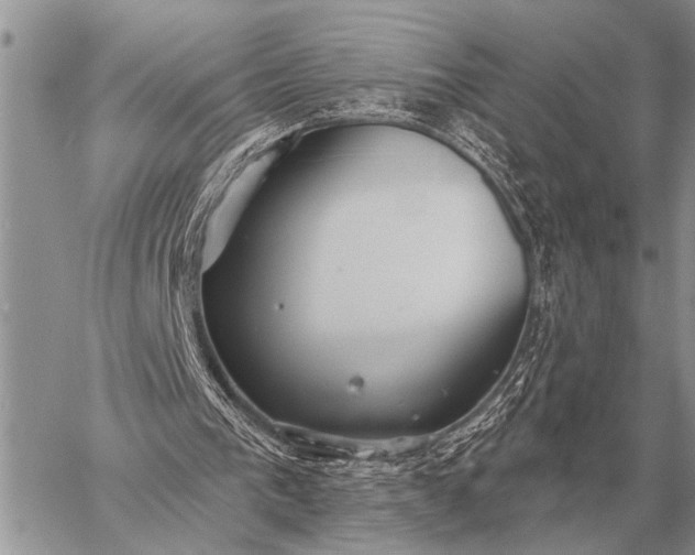 X0000059040193200510171857