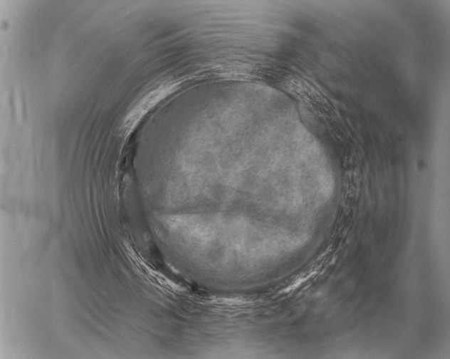 X0000059040194200510171857